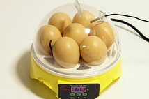 Мини-инкубатор на 7 яиц 